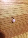 Filename=attachID_1235_postID_10012_bead.jpg
Filesize=107KiB
Dimensions=720x960
Date added=Dec 02, 2016 attachID_1235_postID_10012_bead.jpg