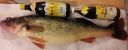 Filename=attachID_1365_postID_11127_006Walleye3.jpg
Filesize=208KiB
Dimensions=1200x475
Date added=Dec 02, 2016 attachID_1365_postID_11127_006Walleye3.jpg