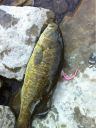 Filename=attachID_1802_postID_14302_image.jpg
Filesize=263KiB
Dimensions=724x960
Date added=Dec 02, 2016 attachID_1802_postID_14302_image.jpg
