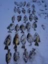 Filename=attachID_2317_postID_17837_IMG_1705.JPG
Filesize=92KiB
Dimensions=640x853
Date added=Dec 02, 2016 attachID_2317_postID_17837_IMG_1705.JPG