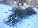 Filename=attachID_2421_postID_18398_tree11.jpg
Filesize=223KiB
Dimensions=914x685
Date added=Dec 02, 2016 attachID_2421_postID_18398_tree11.jpg
