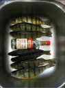 Filename=attachID_625_postID_5276_perch.png
Filesize=1015KiB
Dimensions=635x849
Date added=Dec 02, 2016 attachID_625_postID_5276_perch.png