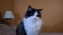Filename=attachID_10379_postID_96209_WP_20141021_026.jpg
Filesize=57KiB
Dimensions=1200x673
Date added=Dec 02, 2016 attachID_10379_postID_96209_WP_20141021_026.jpg