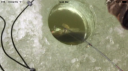 attachID_10574_postID_97847_IMG_1407.PNG