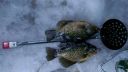 Filename=attachID_10850_postID_100005_mmexport1422226644903.jpg
Filesize=85KiB
Dimensions=1200x678
Date added=Dec 02, 2016 attachID_10850_postID_100005_mmexport1422226644903.jpg