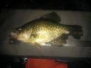 Filename=attachID_11376_postID_105912_20150216_185307.jpg
Filesize=75KiB
Dimensions=1200x900
Date added=Dec 02, 2016 attachID_11376_postID_105912_20150216_185307.jpg