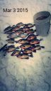 Filename=attachID_11725_postID_109412_crap3.jpg
Filesize=113KiB
Dimensions=625x1107
Date added=Dec 02, 2016 attachID_11725_postID_109412_crap3.jpg