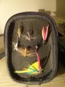 Filename=attachID_11898_postID_111178_IMG_20150311_210043.jpg
Filesize=181KiB
Dimensions=900x1200
Date added=Dec 02, 2016 attachID_11898_postID_111178_IMG_20150311_210043.jpg