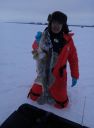 Filename=attachID_12001_postID_111780_IMG_20150301_171429.jpg
Filesize=80KiB
Dimensions=889x1200
Date added=Dec 02, 2016 attachID_12001_postID_111780_IMG_20150301_171429.jpg