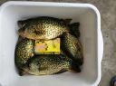 Filename=attachID_12150_postID_113082_image.jpg
Filesize=143KiB
Dimensions=1200x896
Date added=Dec 02, 2016 attachID_12150_postID_113082_image.jpg