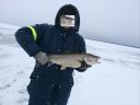 Filename=attachID_12201_postID_113491_IMG_5980-1.jpg
Filesize=146KiB
Dimensions=1024x768
Date added=Dec 02, 2016 attachID_12201_postID_113491_IMG_5980-1.jpg