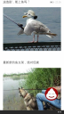 Filename=attachID_12318_postID_115178_wp_ss_20150330_0010.png
Filesize=743KiB
Dimensions=675x1200
Date added=Dec 02, 2016 attachID_12318_postID_115178_wp_ss_20150330_0010.png