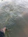 Filename=attachID_12367_postID_115388_IMG_20150401_082524.jpg
Filesize=100KiB
Dimensions=900x1200
Date added=Dec 02, 2016 attachID_12367_postID_115388_IMG_20150401_082524.jpg