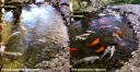 Filename=attachID_12405_postID_115674_fishing.jpg
Filesize=155KiB
Dimensions=742x388
Date added=Dec 02, 2016 attachID_12405_postID_115674_fishing.jpg