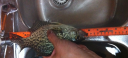 Filename=attachID_12606_postID_117225_1.png
Filesize=1015KiB
Dimensions=981x446
Date added=Dec 02, 2016 attachID_12606_postID_117225_1.png