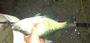Filename=attachID_12685_postID_117802_15_1.jpg
Filesize=152KiB
Dimensions=714x346
Date added=Dec 02, 2016 attachID_12685_postID_117802_15_1.jpg
