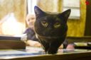 Filename=attachID_12843_postID_119419_20150417_7175.jpg
Filesize=95KiB
Dimensions=950x633
Date added=Dec 02, 2016 attachID_12843_postID_119419_20150417_7175.jpg