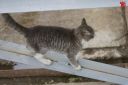 Filename=attachID_12844_postID_119419_20150417_2428.jpg
Filesize=100KiB
Dimensions=950x633
Date added=Dec 02, 2016 attachID_12844_postID_119419_20150417_2428.jpg