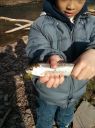 Filename=attachID_13136_postID_122221_first_trout.jpg
Filesize=136KiB
Dimensions=898x1200
Date added=Dec 02, 2016 attachID_13136_postID_122221_first_trout.jpg