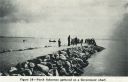 Filename=attachID_13167_postID_122486_perch_dock.jpg
Filesize=406KiB
Dimensions=1191x767
Date added=Dec 02, 2016 attachID_13167_postID_122486_perch_dock.jpg