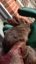 Filename=attachID_13193_postID_122653_image.jpg
Filesize=195KiB
Dimensions=640x1136
Date added=Dec 02, 2016 attachID_13193_postID_122653_image.jpg