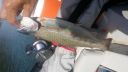 Filename=attachID_13329_postID_124353_20150504_093510.jpg
Filesize=82KiB
Dimensions=1200x675
Date added=Dec 02, 2016 attachID_13329_postID_124353_20150504_093510.jpg
