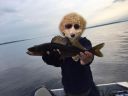 Filename=attachID_13356_postID_124839_IMG_7385.JPG
Filesize=77KiB
Dimensions=1200x900
Date added=Dec 02, 2016 attachID_13356_postID_124839_IMG_7385.JPG