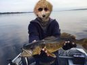 Filename=attachID_13357_postID_124839_IMG_7386.JPG
Filesize=98KiB
Dimensions=1200x900
Date added=Dec 02, 2016 attachID_13357_postID_124839_IMG_7386.JPG
