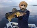Filename=attachID_13358_postID_124839_IMG_7388.JPG
Filesize=95KiB
Dimensions=1200x900
Date added=Dec 02, 2016 attachID_13358_postID_124839_IMG_7388.JPG
