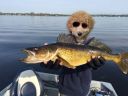 Filename=attachID_13359_postID_124839_IMG_7390.JPG
Filesize=127KiB
Dimensions=800x600
Date added=Dec 02, 2016 attachID_13359_postID_124839_IMG_7390.JPG