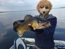 Filename=attachID_13360_postID_124839_IMG_7392.JPG
Filesize=110KiB
Dimensions=800x600
Date added=Dec 02, 2016 attachID_13360_postID_124839_IMG_7392.JPG