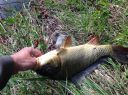 Filename=attachID_13693_postID_127531_image.jpg
Filesize=283KiB
Dimensions=1200x899
Date added=Dec 02, 2016 attachID_13693_postID_127531_image.jpg