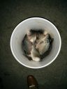 Filename=attachID_13716_postID_127784_IMG_20150523_032123.jpg
Filesize=136KiB
Dimensions=900x1200
Date added=Dec 02, 2016 attachID_13716_postID_127784_IMG_20150523_032123.jpg