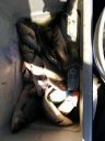 Filename=attachID_13722_postID_127784_IMG_20150523_142848.jpg
Filesize=93KiB
Dimensions=900x1200
Date added=Dec 02, 2016 attachID_13722_postID_127784_IMG_20150523_142848.jpg