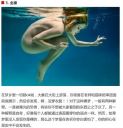 Filename=attachID_13817_postID_128823_Untitled.jpg
Filesize=67KiB
Dimensions=447x463
Date added=Dec 02, 2016 attachID_13817_postID_128823_Untitled.jpg