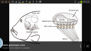 Filename=attachID_13865_postID_129267_Screenshot_2015-05-31-09-04-12.png
Filesize=403KiB
Dimensions=1200x675
Date added=Dec 02, 2016 attachID_13865_postID_129267_Screenshot_2015-05-31-09-04-12.png