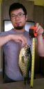 Filename=attachID_14013_postID_130660_IMAG2437_1.jpg
Filesize=82KiB
Dimensions=600x1200
Date added=Dec 02, 2016 attachID_14013_postID_130660_IMAG2437_1.jpg