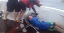 Filename=attachID_14087_postID_131446_02.jpg
Filesize=133KiB
Dimensions=634x333
Date added=Dec 02, 2016 attachID_14087_postID_131446_02.jpg