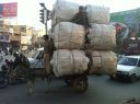 Filename=attachID_14113_postID_131831_6668955-Poor-donkey-0.jpg
Filesize=106KiB
Dimensions=800x598
Date added=Dec 02, 2016 attachID_14113_postID_131831_6668955-Poor-donkey-0.jpg
