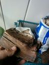 Filename=attachID_14182_postID_132442_IMG_20150614_185853.jpg
Filesize=111KiB
Dimensions=900x1200
Date added=Dec 02, 2016 attachID_14182_postID_132442_IMG_20150614_185853.jpg