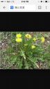 Filename=attachID_14209_postID_132893_image.jpg
Filesize=163KiB
Dimensions=640x1136
Date added=Dec 02, 2016 attachID_14209_postID_132893_image.jpg