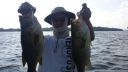 Filename=attachID_14300_postID_134331_2015-06-2117_43_58.jpg
Filesize=89KiB
Dimensions=1200x675
Date added=Dec 02, 2016 attachID_14300_postID_134331_2015-06-2117_43_58.jpg