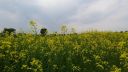 Filename=attachID_14660_postID_138558__00l.jpg
Filesize=319KiB
Dimensions=1200x675
Date added=Dec 02, 2016 attachID_14660_postID_138558__00l.jpg