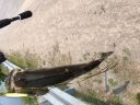 attachID_14667_postID_138621_IMG_0632.JPG