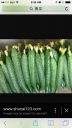 Filename=attachID_14943_postID_141104_image.jpg
Filesize=126KiB
Dimensions=640x1136
Date added=Dec 02, 2016 attachID_14943_postID_141104_image.jpg
