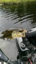 Filename=attachID_15035_postID_142400_mmexport1437350470858.jpg
Filesize=93KiB
Dimensions=678x1200
Date added=Dec 02, 2016 attachID_15035_postID_142400_mmexport1437350470858.jpg