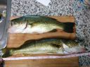 attachID_15051_postID_142747_IMG_20150720_120701.jpg