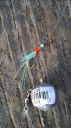 Filename=attachID_15141_postID_143527_crab3.jpg
Filesize=125KiB
Dimensions=674x1200
Date added=Dec 02, 2016 attachID_15141_postID_143527_crab3.jpg