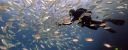 Filename=attachID_15170_postID_144185_JK960x380_31.jpg
Filesize=71KiB
Dimensions=960x380
Date added=Dec 02, 2016 attachID_15170_postID_144185_JK960x380_31.jpg