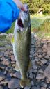 Filename=attachID_15215_postID_144770_20150801_073743.jpg
Filesize=127KiB
Dimensions=675x1200
Date added=Dec 02, 2016 attachID_15215_postID_144770_20150801_073743.jpg